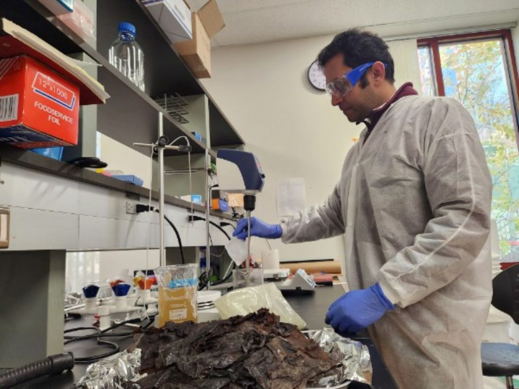 A scientist in a white lab coat working.