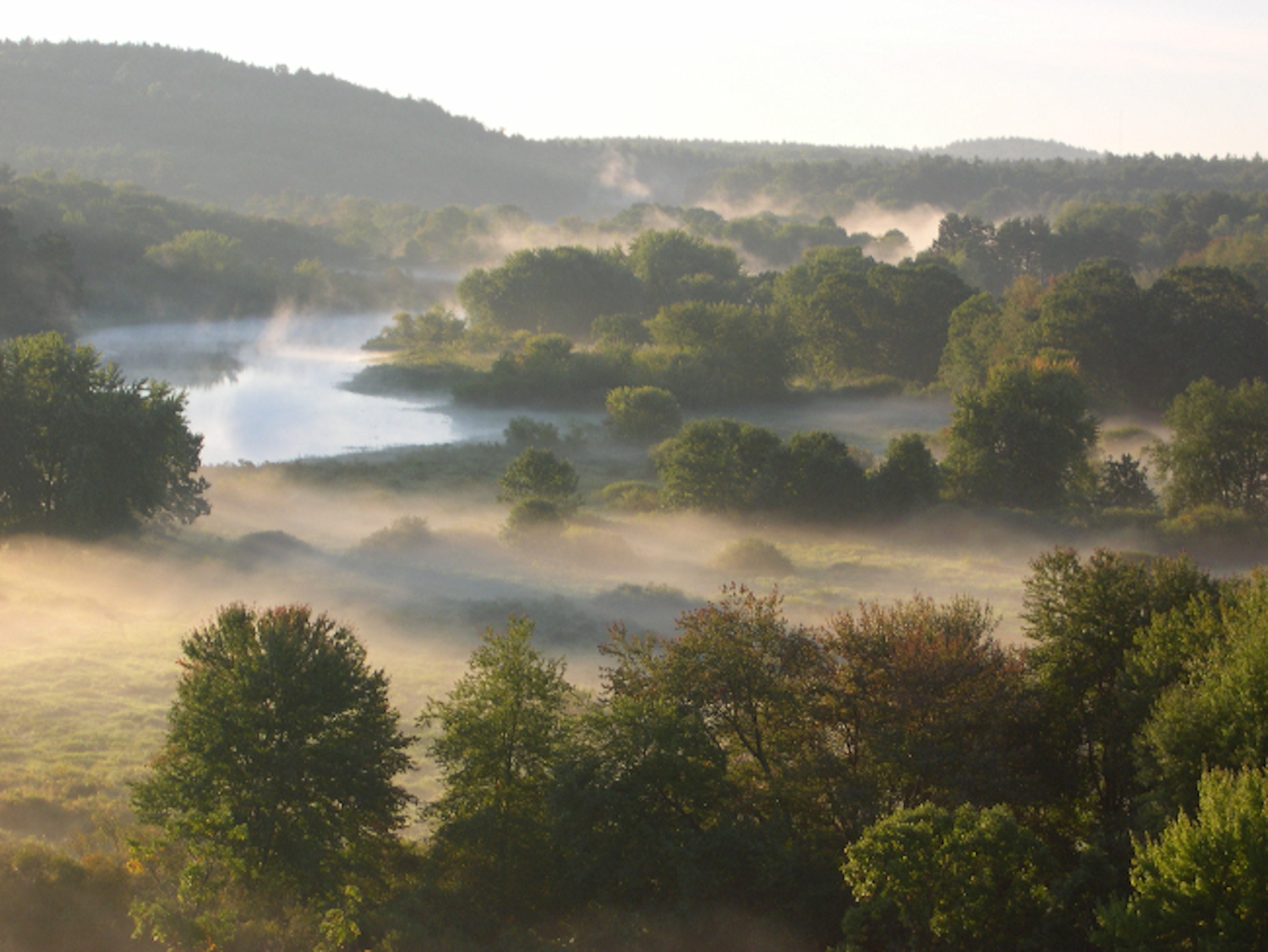 A tree-lined river at sunrise with mist and hills in the background.