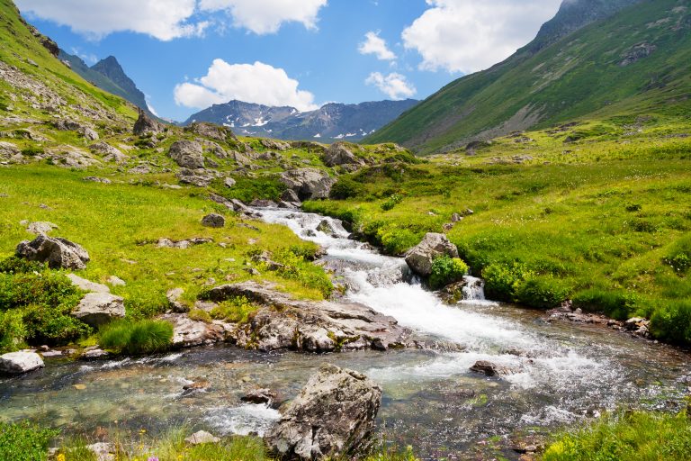 A mountain stream in the valley on a sunny day