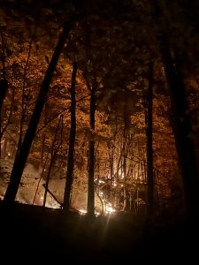A wildfire burns in the forest at night