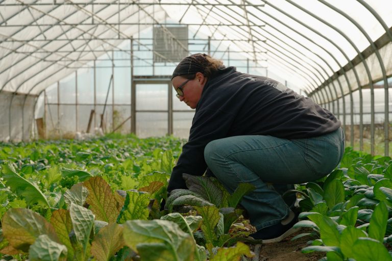 A woman crouched down in a greenhouse