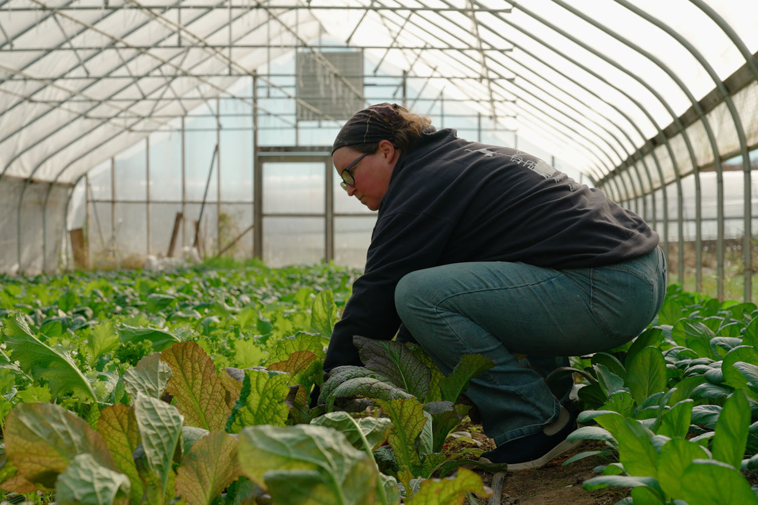 A woman crouched down in a greenhouse