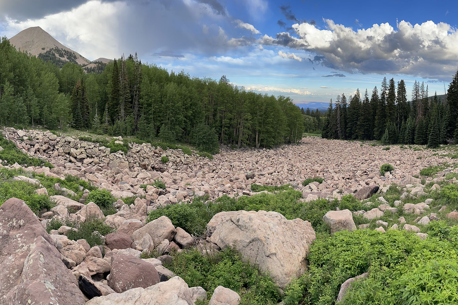 A rocky mountain base surrounded by pine trees