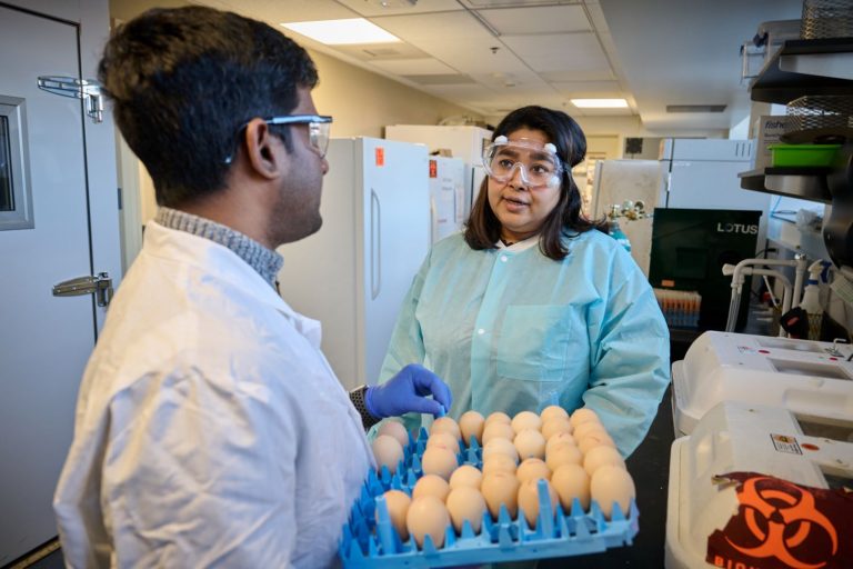 Mary Anne Amalaradjou with a student in her lab