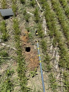 A long metal instrument used for sampling soil lays next to a hole in dug into the soil in an agricultural field.