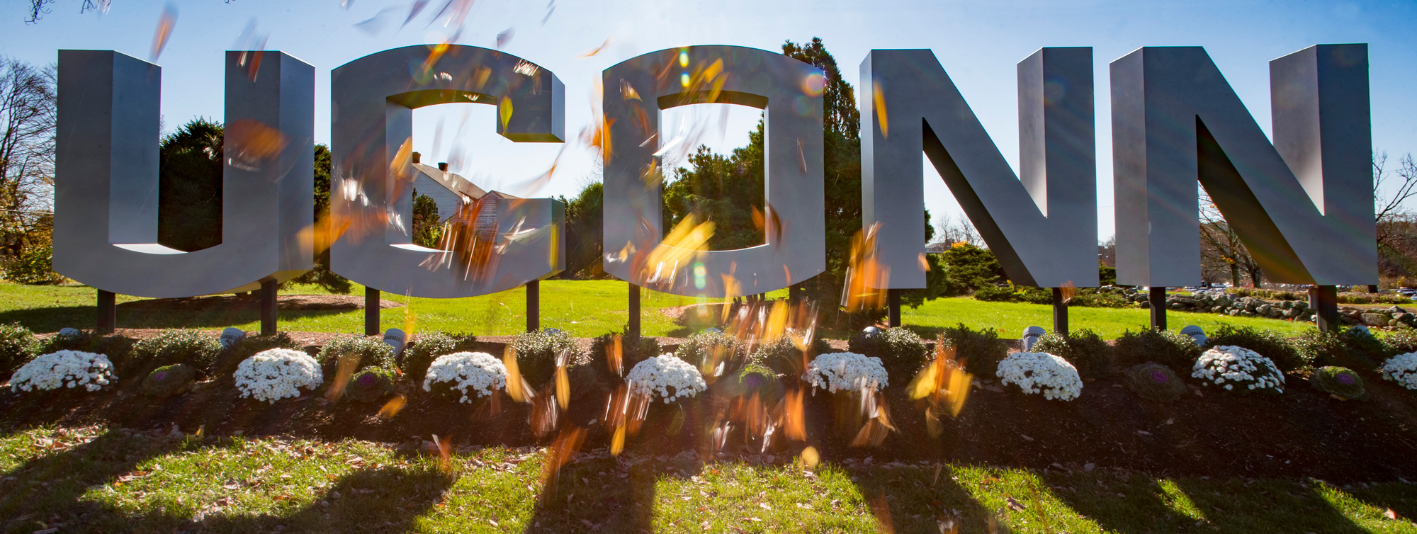 Neag School of Education Celebrates 139 Bachelor of Science Graduates - UConn Today
