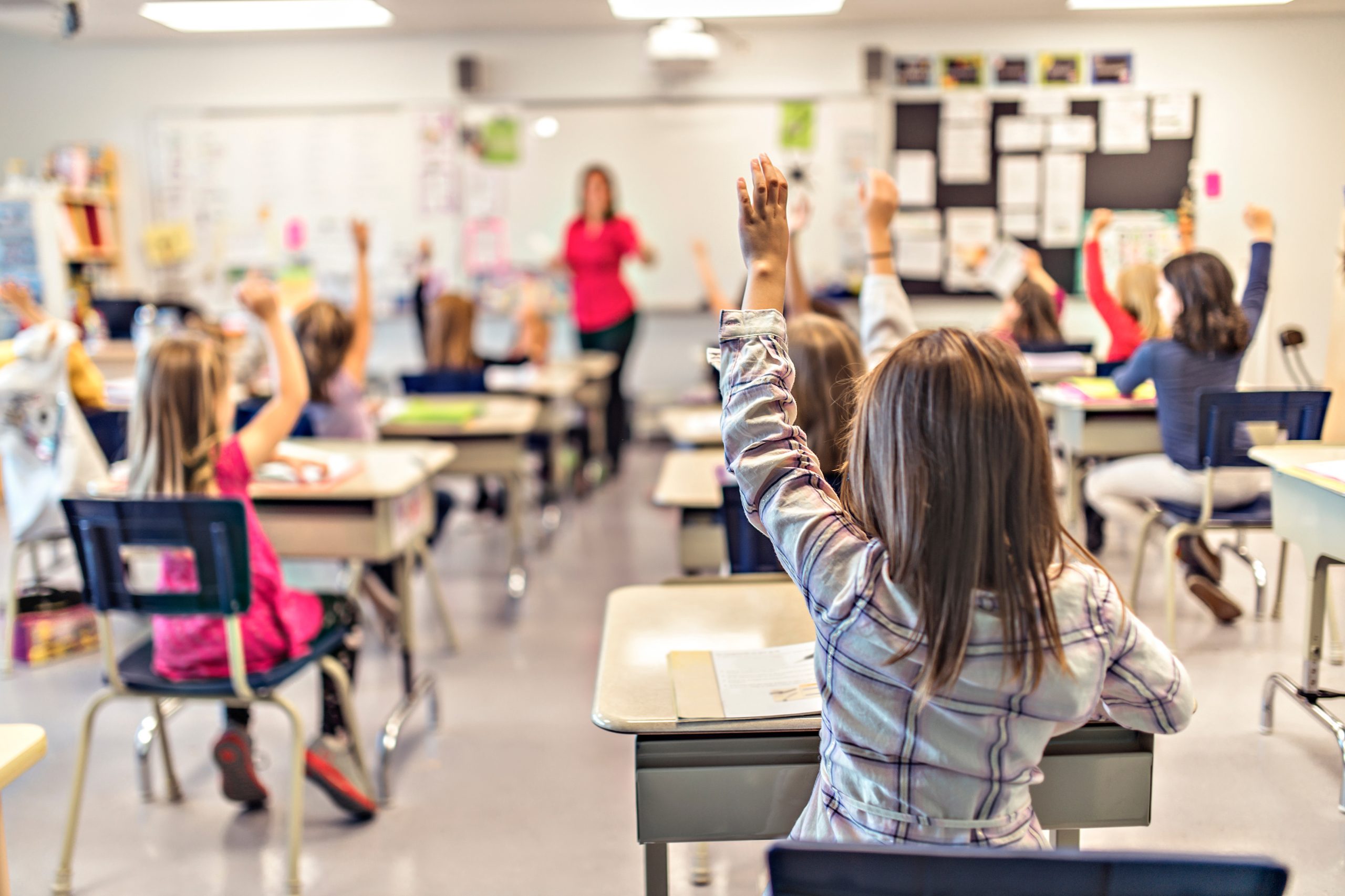Elementary school children in class, raising their hands.