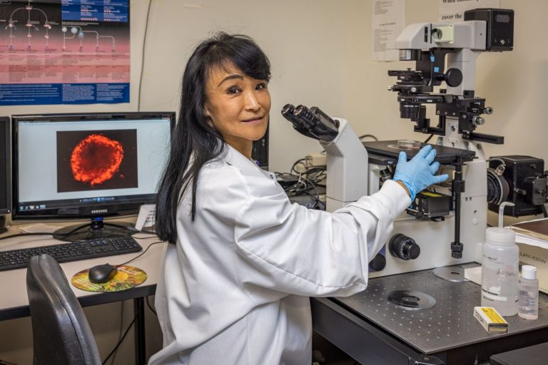 Cindy Tian of the Department of Animal Science in the College of Agriculture, Health and Natural Resources works in her lab in the Agricultural Biotechnology Laboratory