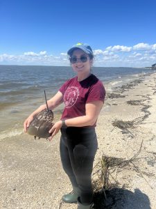 Natalie Tocco with a horseshoe crab