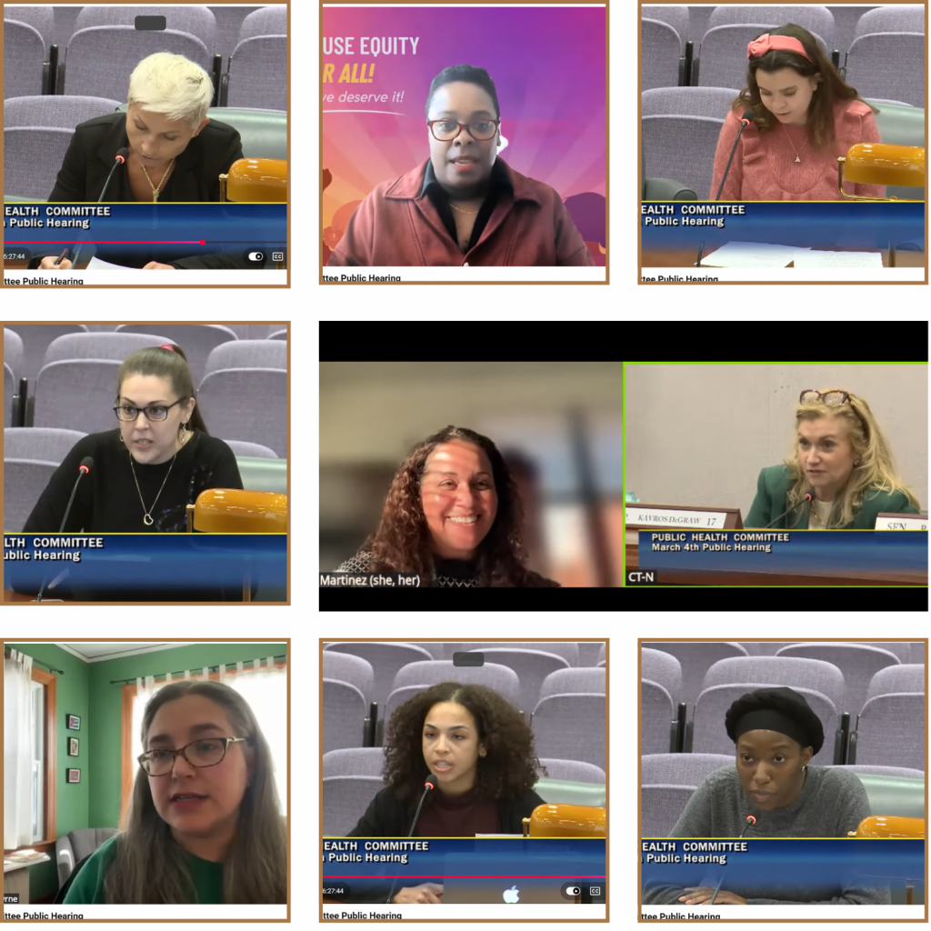 Legislative testimony of HDI and collaborators (Creative courtesy of Malia Hunt, BSW).