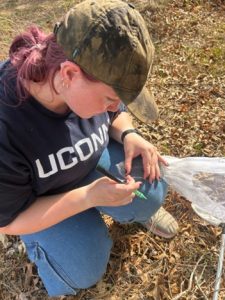 A researcher kneeling down, gently holding a net containing a small butterfly.