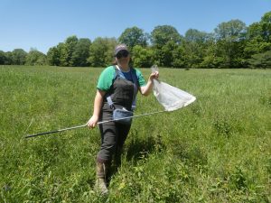 A researcher stands in an open, grassy area with trees in the background, holding a net containing a small butterfly.