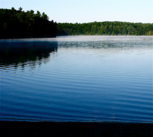 A view from the shore of a pond, which appears blue in early morning light, with mist rising and green trees in the background against a blue sky.