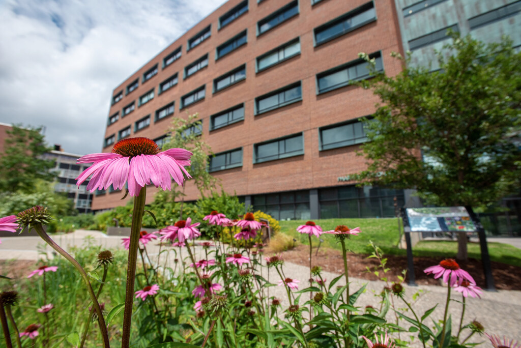 Medicinal Garden outside the School of Pharmacy on July 10, 2023. (Sean Flynn/UConn Photo)