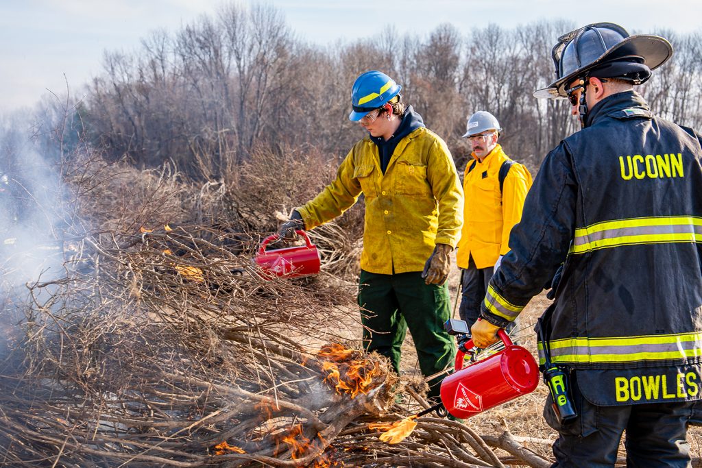 Plant science researchers and the UConn Fire Department conduct prescribed burns
