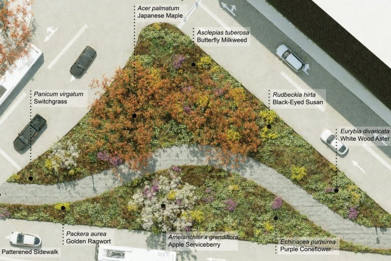 Schematic design of a landscape architecture project