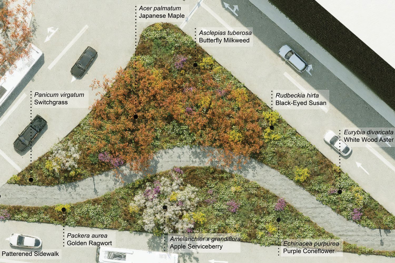 Schematic design of a landscape architecture project