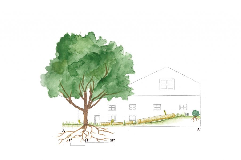 Schematic design of a landscape architecture project