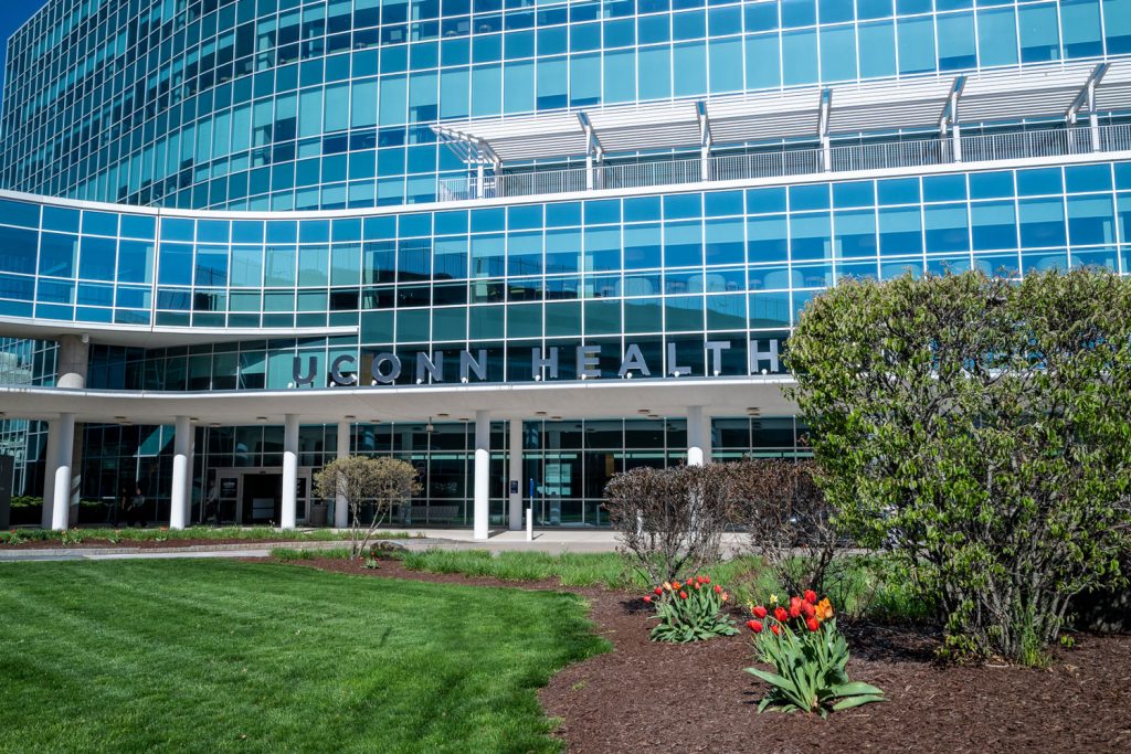 lawn in front of Outpatient Pavilion in early spring, includes rich green lawn and tulips