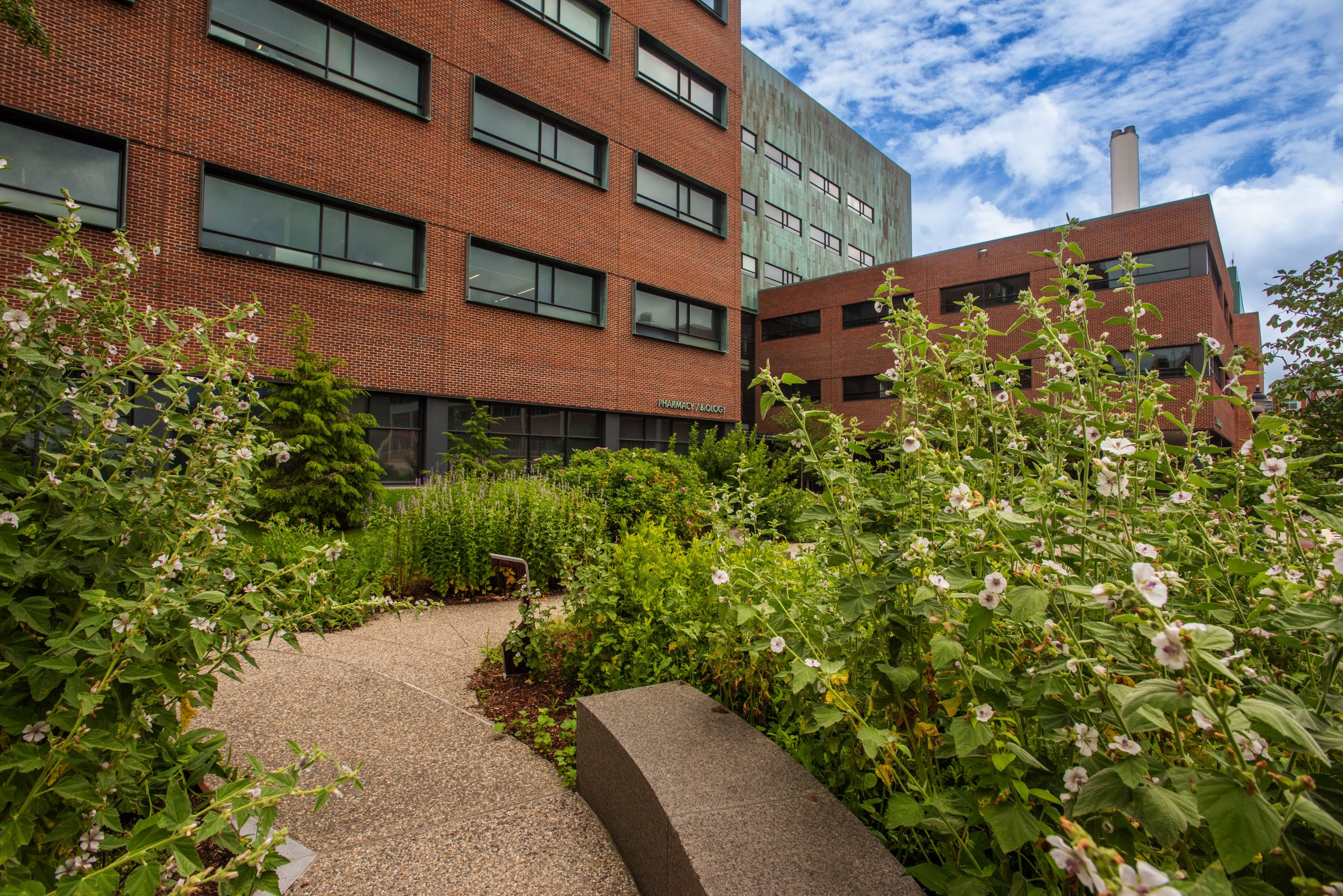 A garden in front of the School of Pharmacy and Pharmaceutical Sciences building