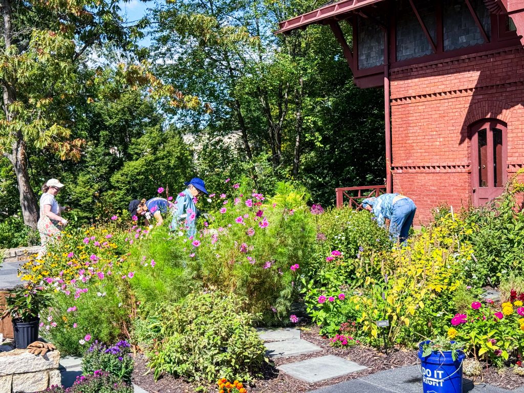Master Gardeners working at the Mark Twain House