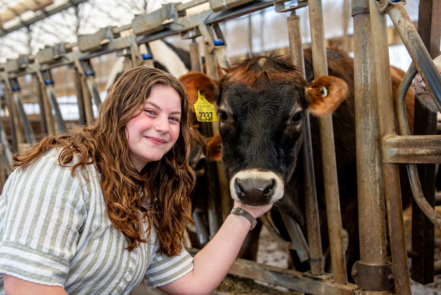 Lauren Kasdan ’26 (CAHNR), an animal science major poses for a photo in the Cattle Resource Unit