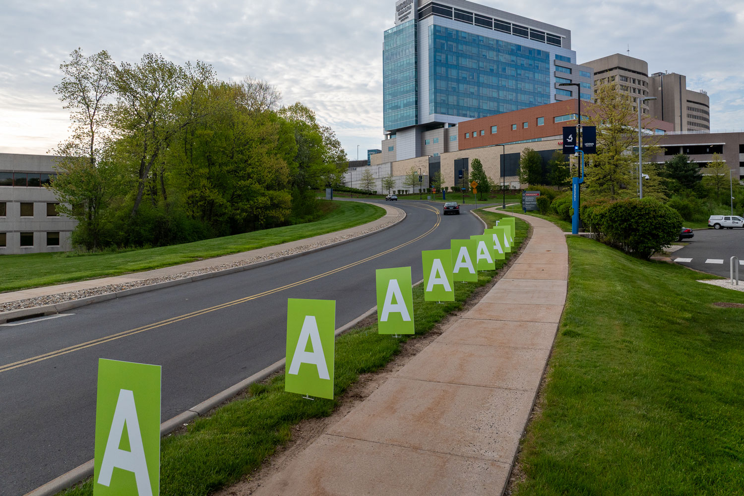 Green "A" lawn signs along the sidewalk leading to UConn John Dempsey Hospital