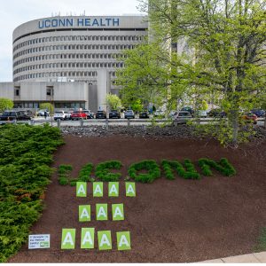 11 green "A" lawn signs under shrubbery that spells "UConn" on the UConn Health campus, with the lab building in the background