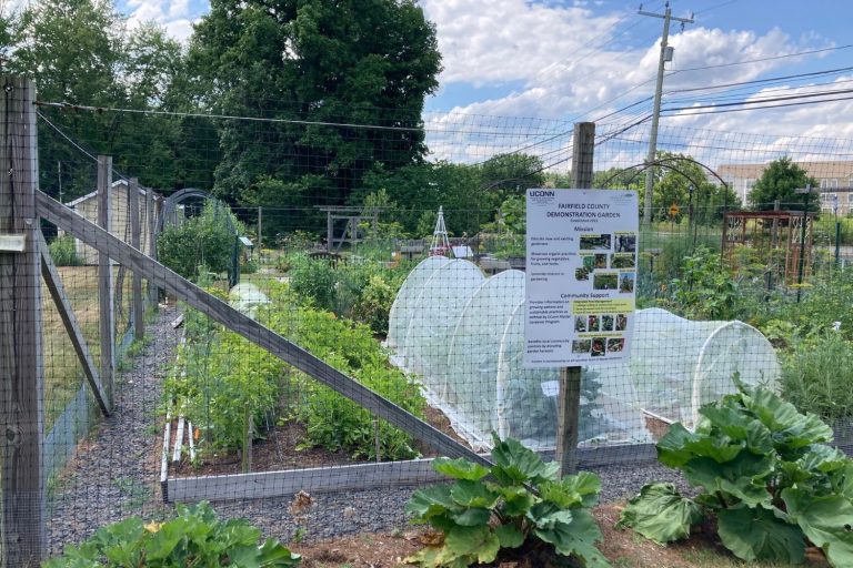 Master Gardener garden