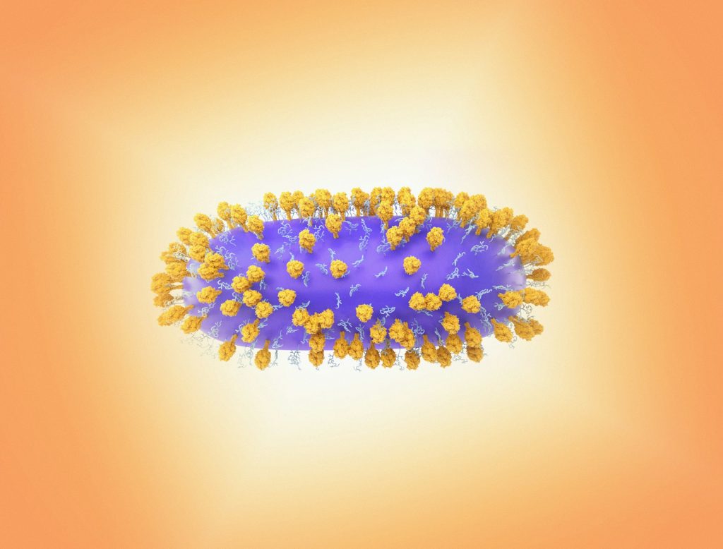 rendering of RSV