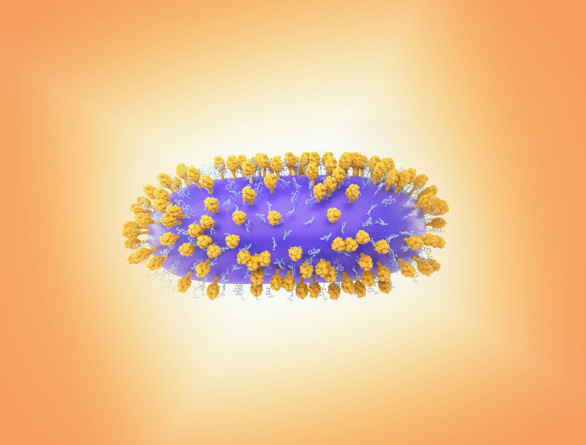 rendering of RSV
