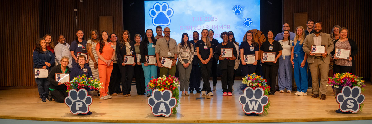 large group portrait on stage, many holding certificates