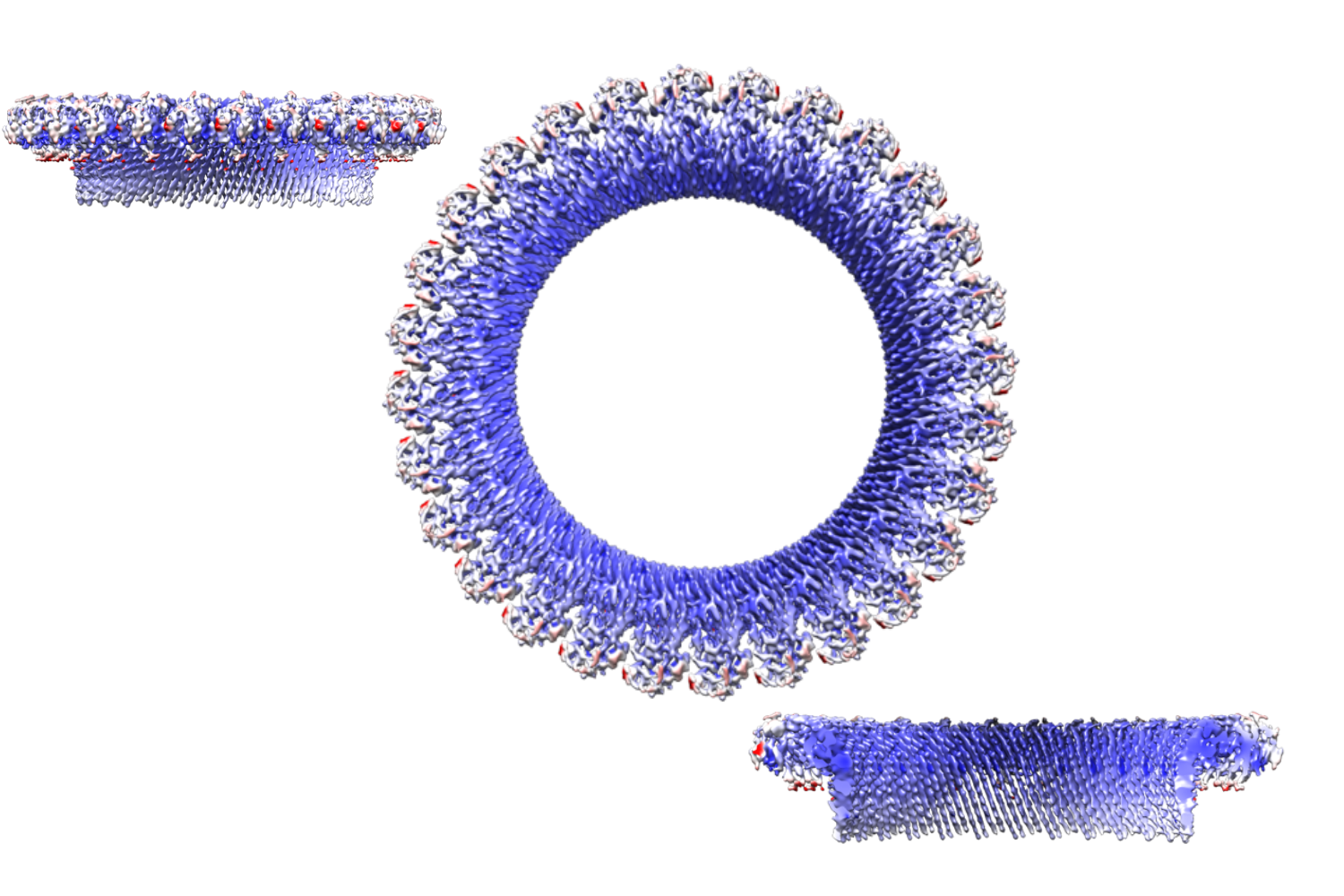 Cryo-Em images from Dr Ruan Lab
