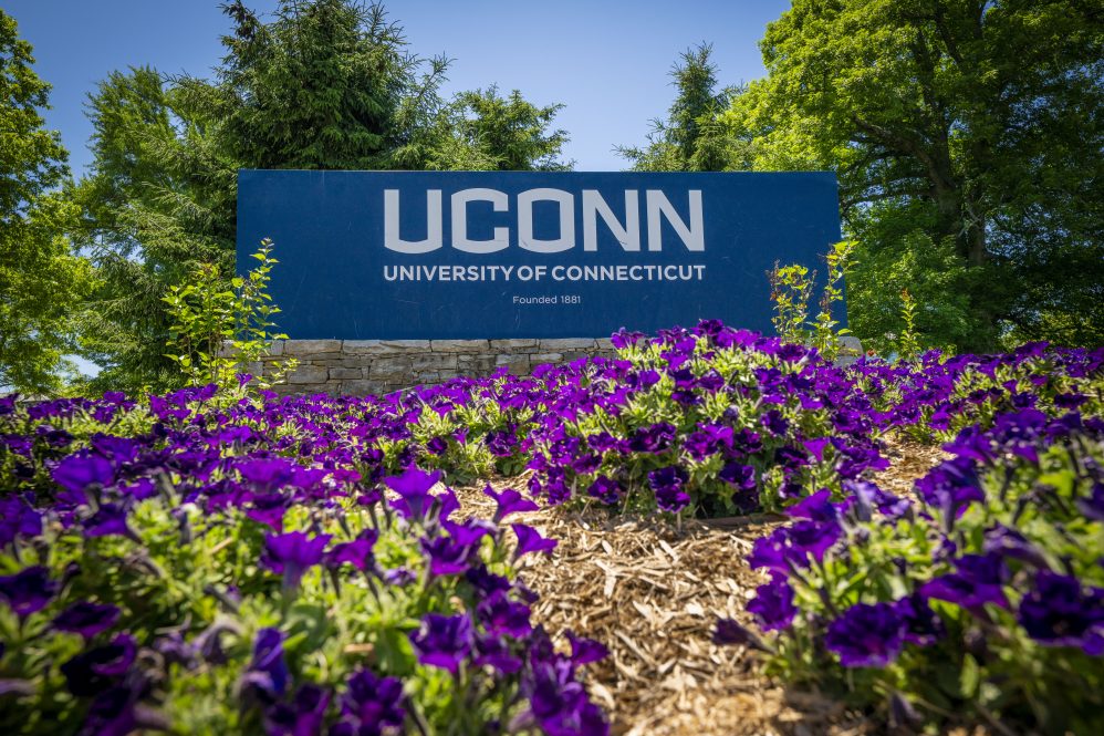 UConn entryway sign with purple flowers on the corner of North Eagleville Road on June 3, 2026.