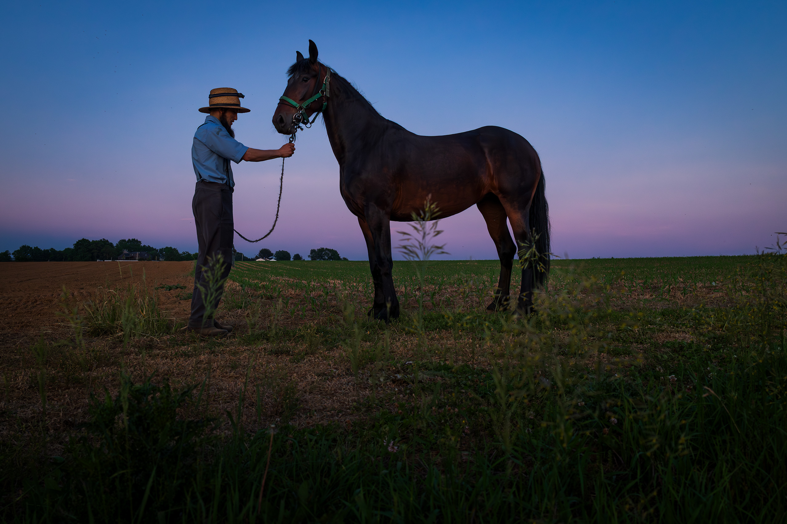 A man in a hat training a horse at dusk