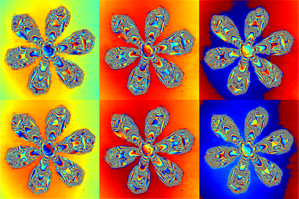 Six moments of a melting snowflake, captured with a lensless chip on a nanometer-scale.