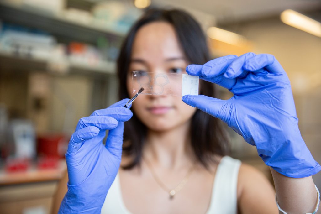 A researcher holds a transparent slide up to the camera