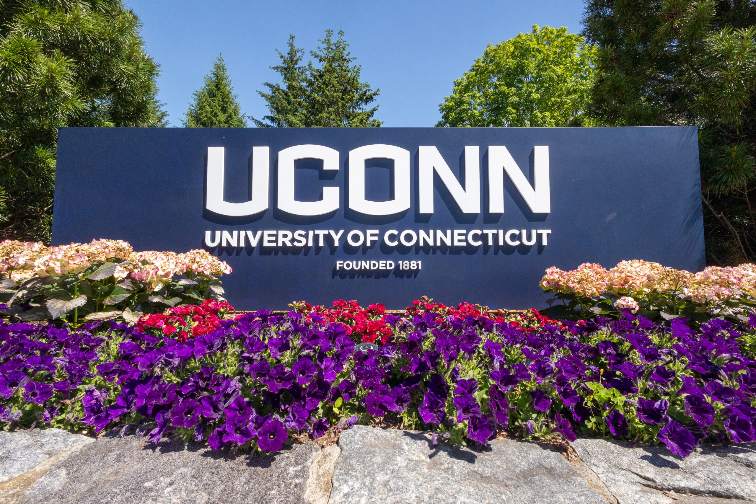 A UConn sign sits on campus with flowers in front of it