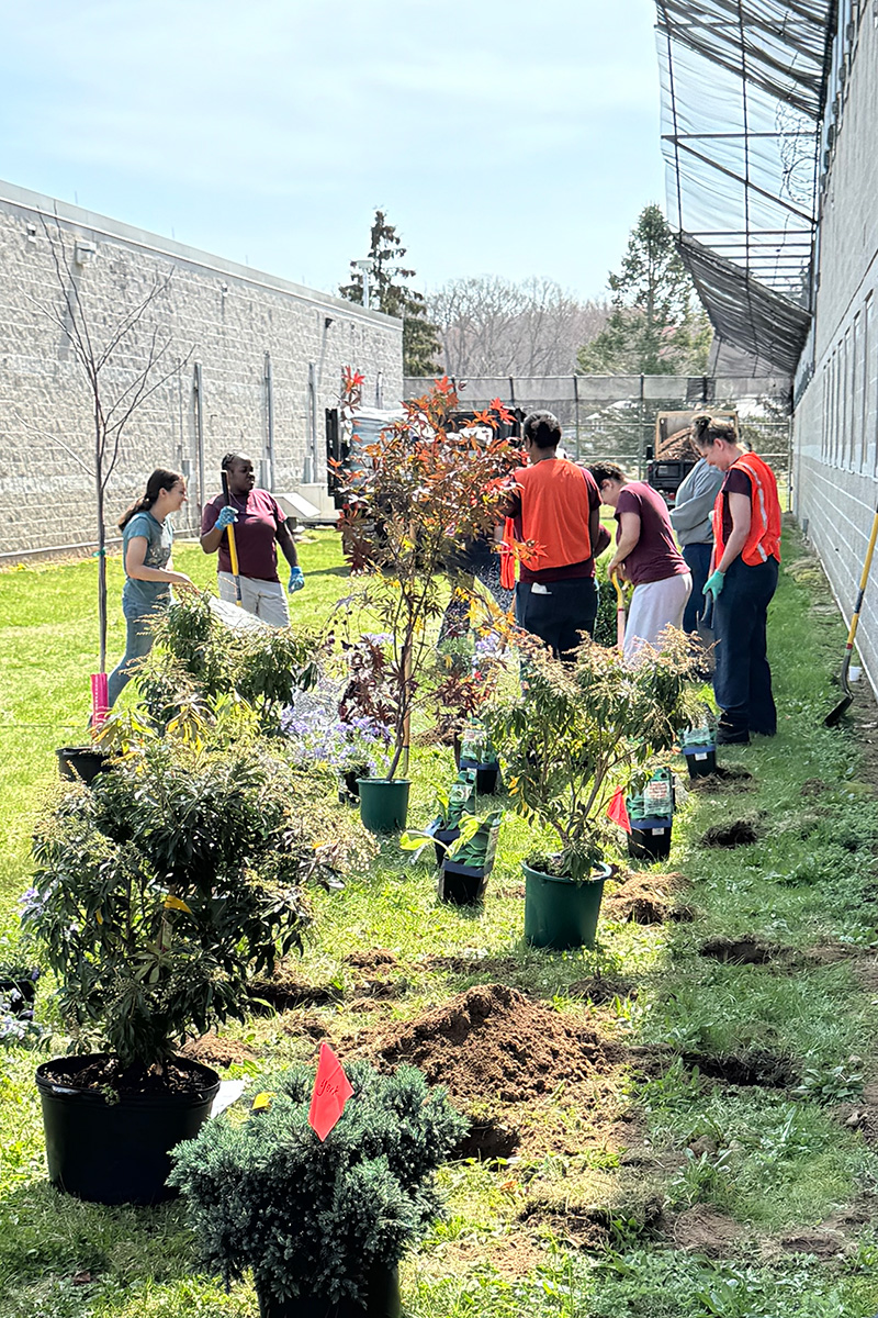 A group of students and inmates planting outside a correctional facility.