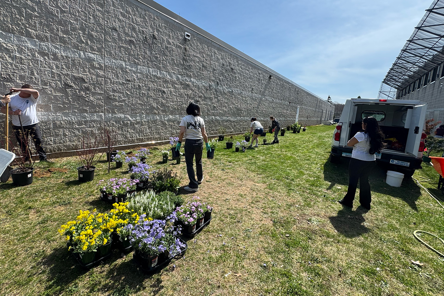 Students and faculty plant flowers against a concrete wall in a prison yard.