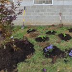 Freshly planted flowers and trees outside a correctional facility.