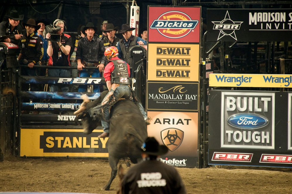 bull rider at rodeo night show
