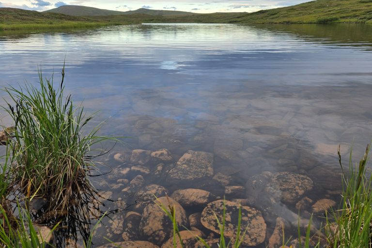 A photo of a river with a clear water shot of rocks at the bottom