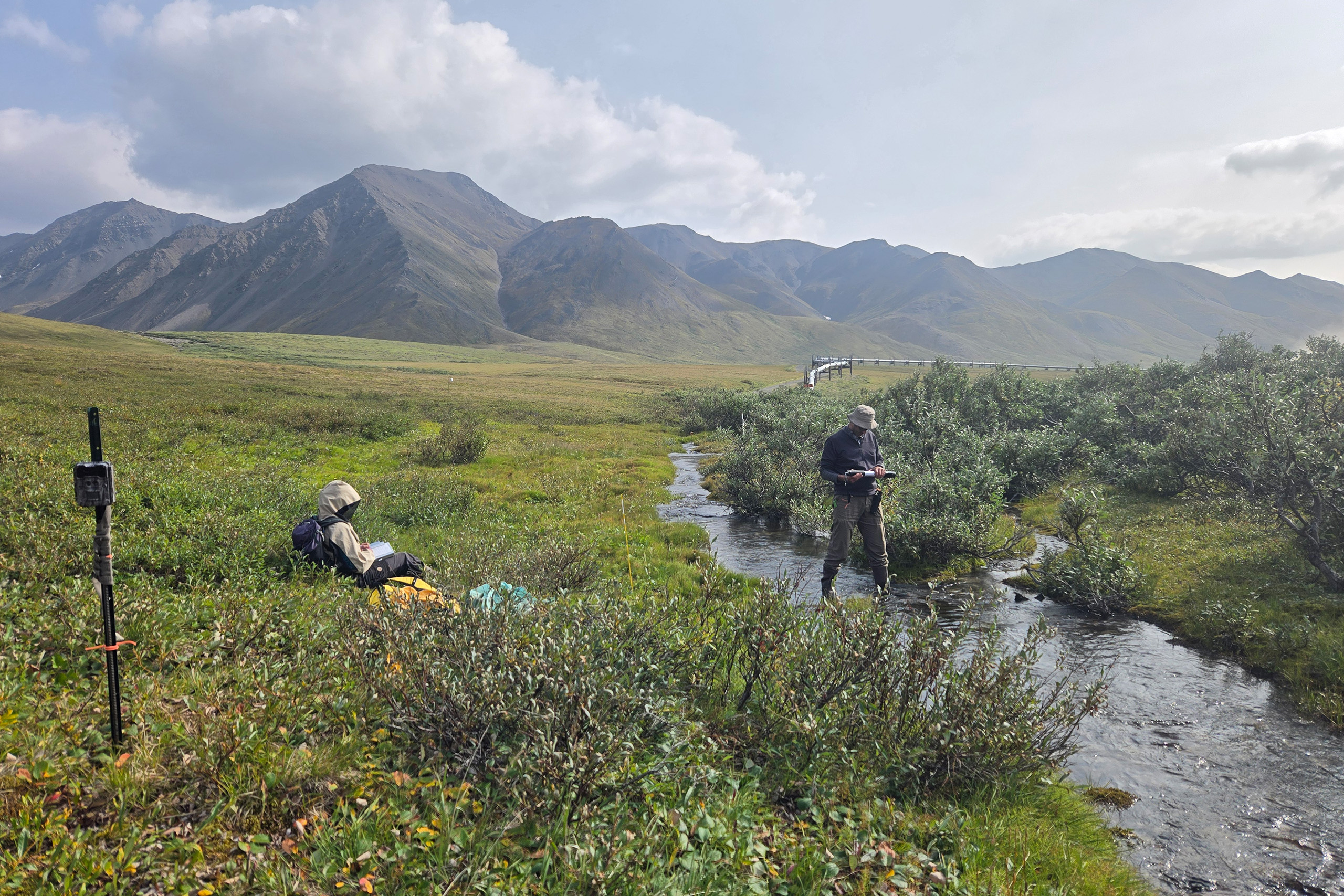 161056_UCTedit Two researchers take samples from a stream with mountains in the distance.