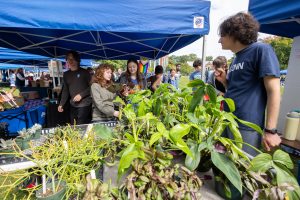 A display of green plants with students standing around it at the Health and Wellness Fair.