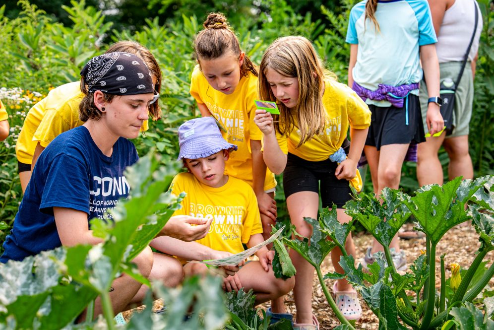Students and participants at UConn Bug Week