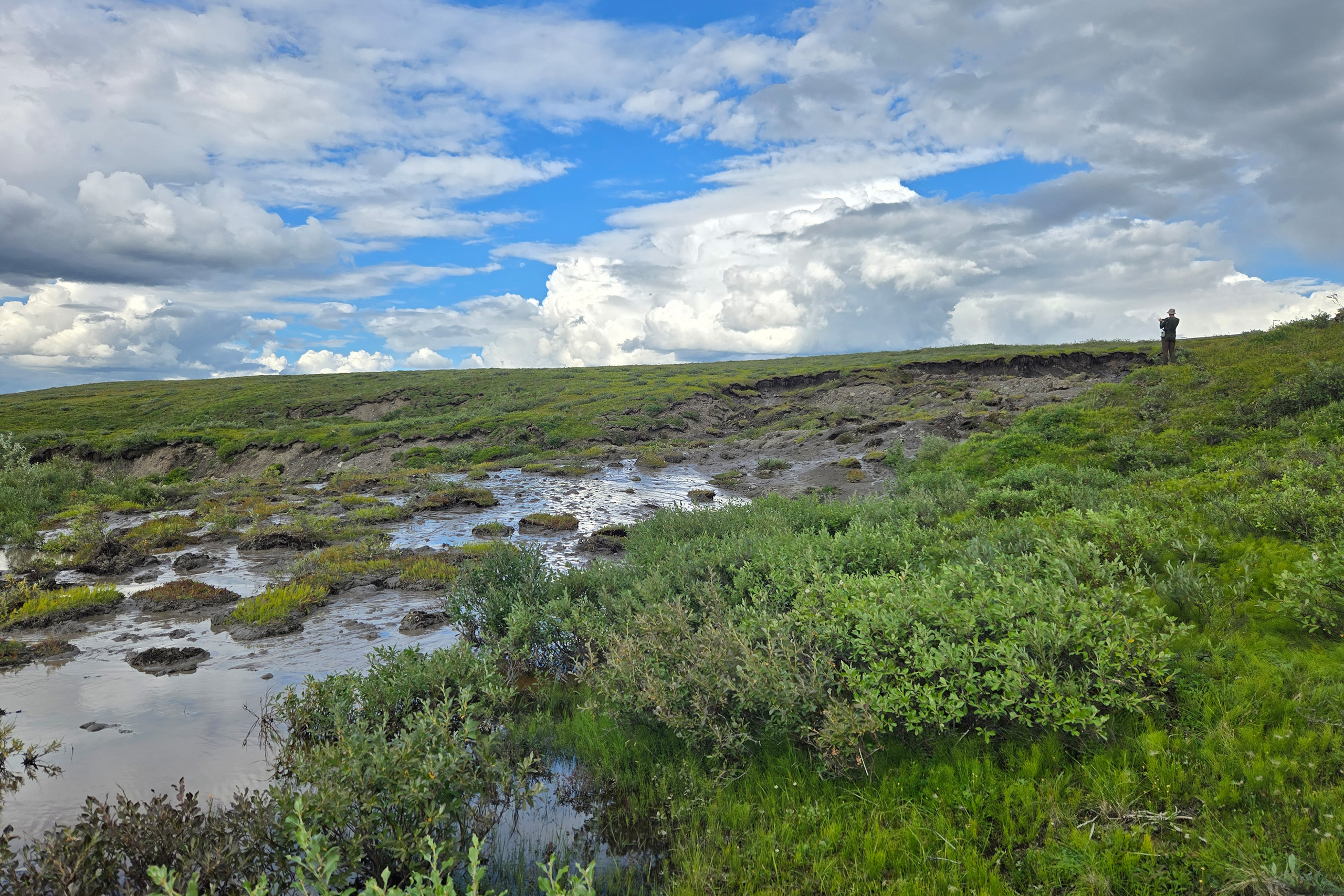Drake_thermokarst_UCTedit A person stands in the distance at the edge of large depression shown on a green landscape.
