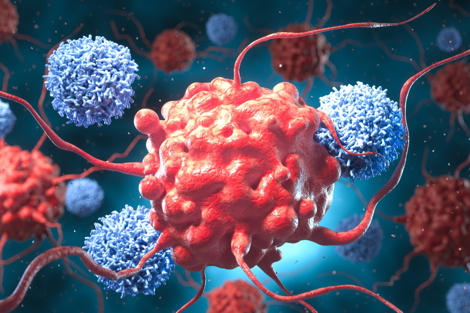 CAR T and cancer cells