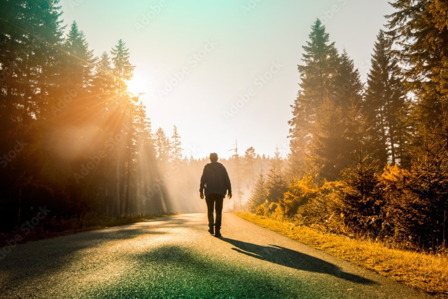 A man walking on a path in the woods