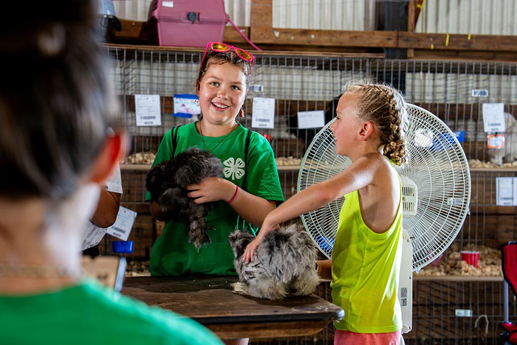 Young girls hold bunnies at UConn 4-H fair